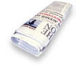 Newspaper
