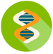 dna icon