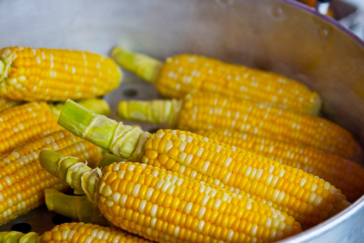 Bowl of gluten free corn cobs already shucked for Beyond Celiac