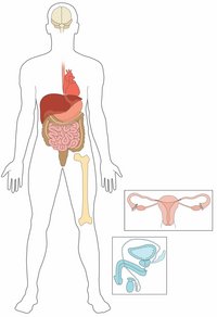 Celiac disease body
