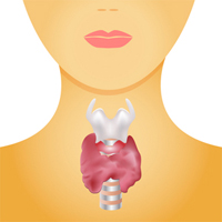 A significant number of patients with thyroid disease also have celiac disease.
