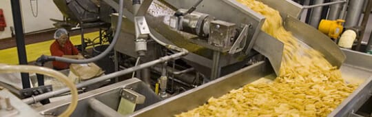 Food Safety