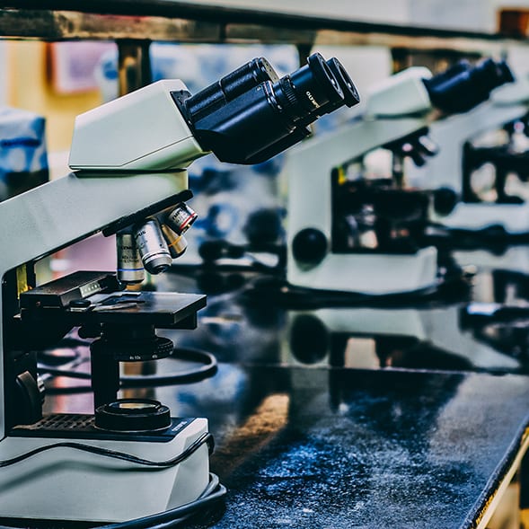 Beyond Celiac Awards $420,000 in Research Grants