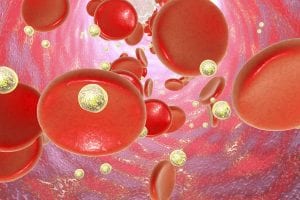 A close-up illustration of red blood cells and yellow spherical particles, likely representing cholesterol or fat, inside a blood vessel. The background is pink and textured, simulating the vessel wall.