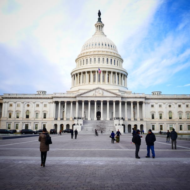 S.3021: Gluten in Medicine Disclosure Act of 2019