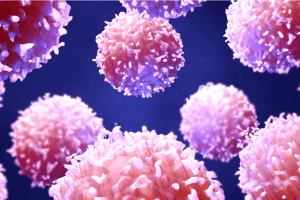 A group of round, pink and purple cells with textured surfaces floats against a dark blue background, representing a microscopic view of biological or immune cells.