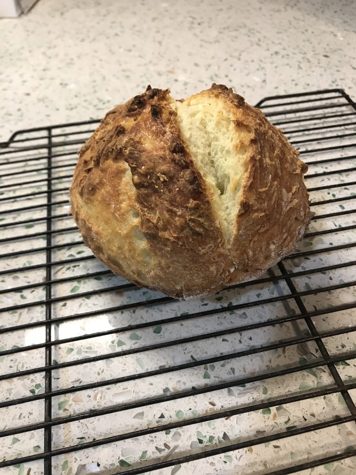 How To Make Gluten Free Sourdough Starter Bread BeyondCeliac how-to-make-gluten-free-sourdough-starter-bread-beyondceliac