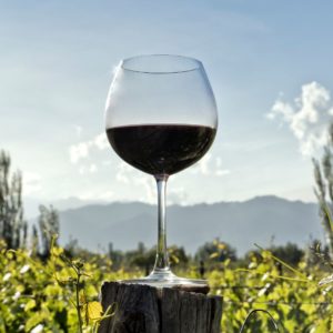 A wineglass in front of a field and mountain in Argentina.
