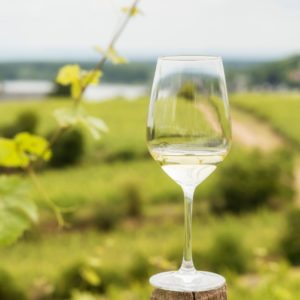 A glass of riesling wine.