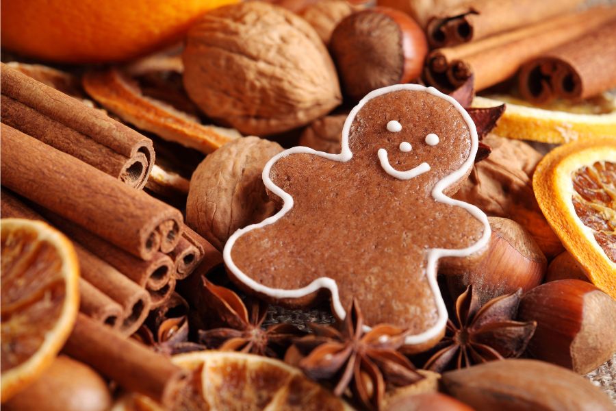 A smiling gingerbread cookie surrounded by cinnamon sticks, star anise, dried citrus fruit slices, and other holiday spices.