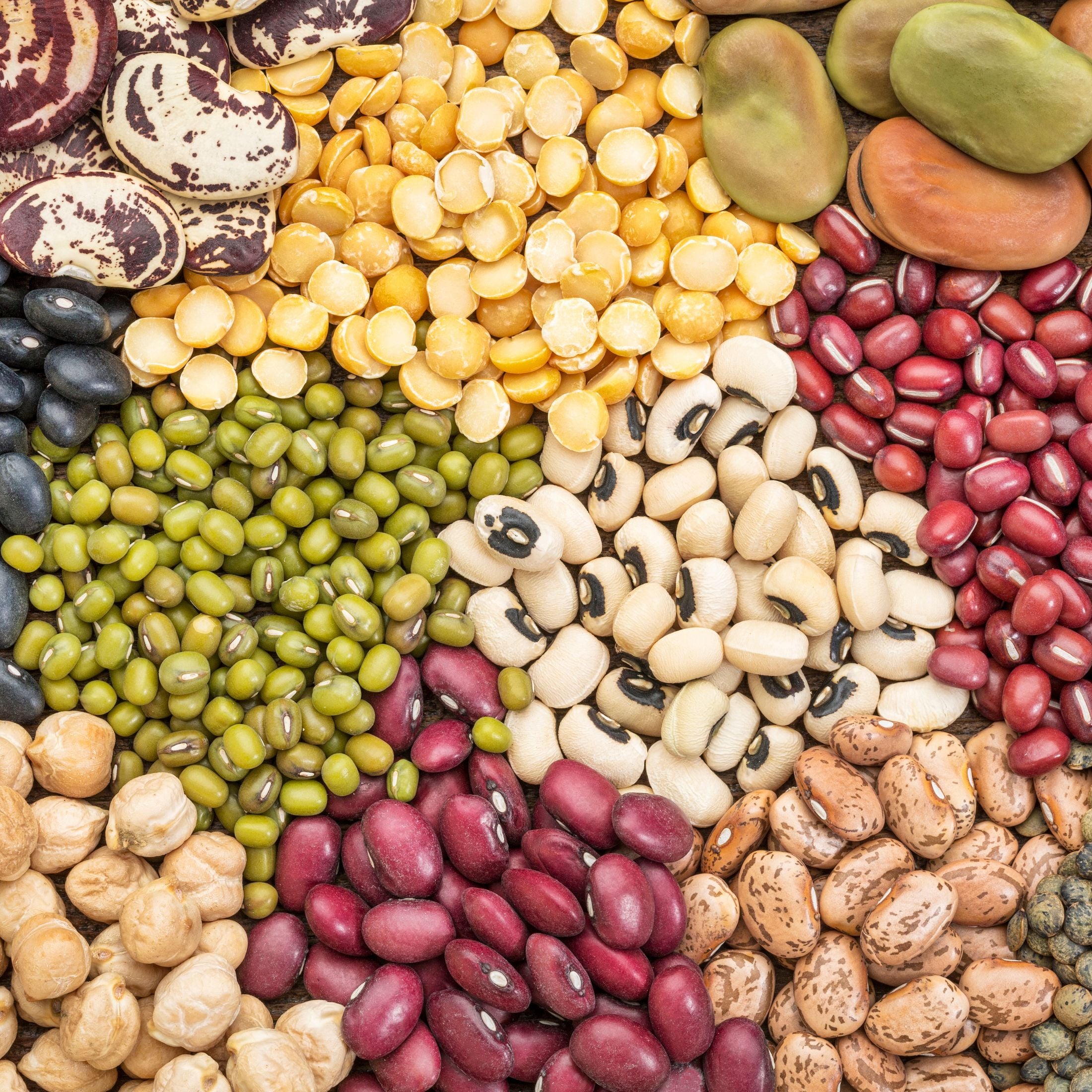 Piles of various beans.