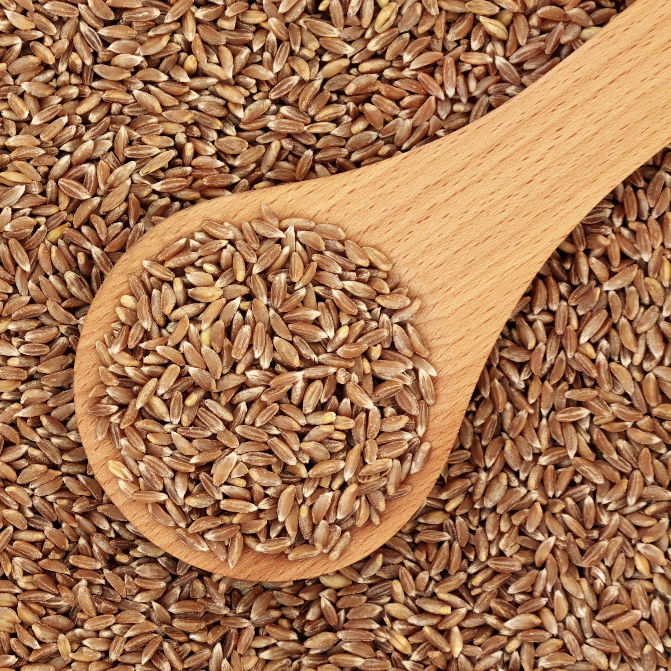 Farro seeds.