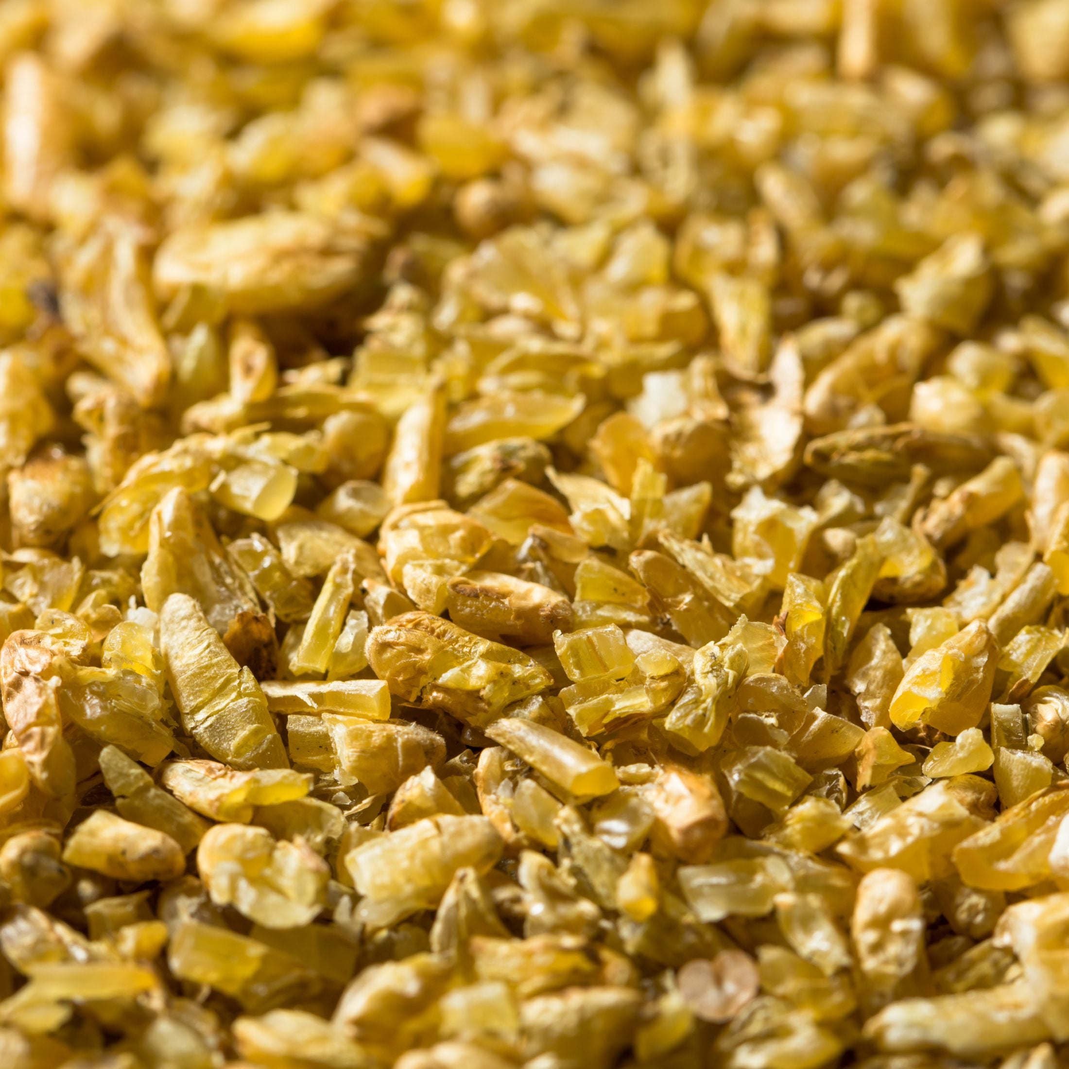 Freekah seeds.