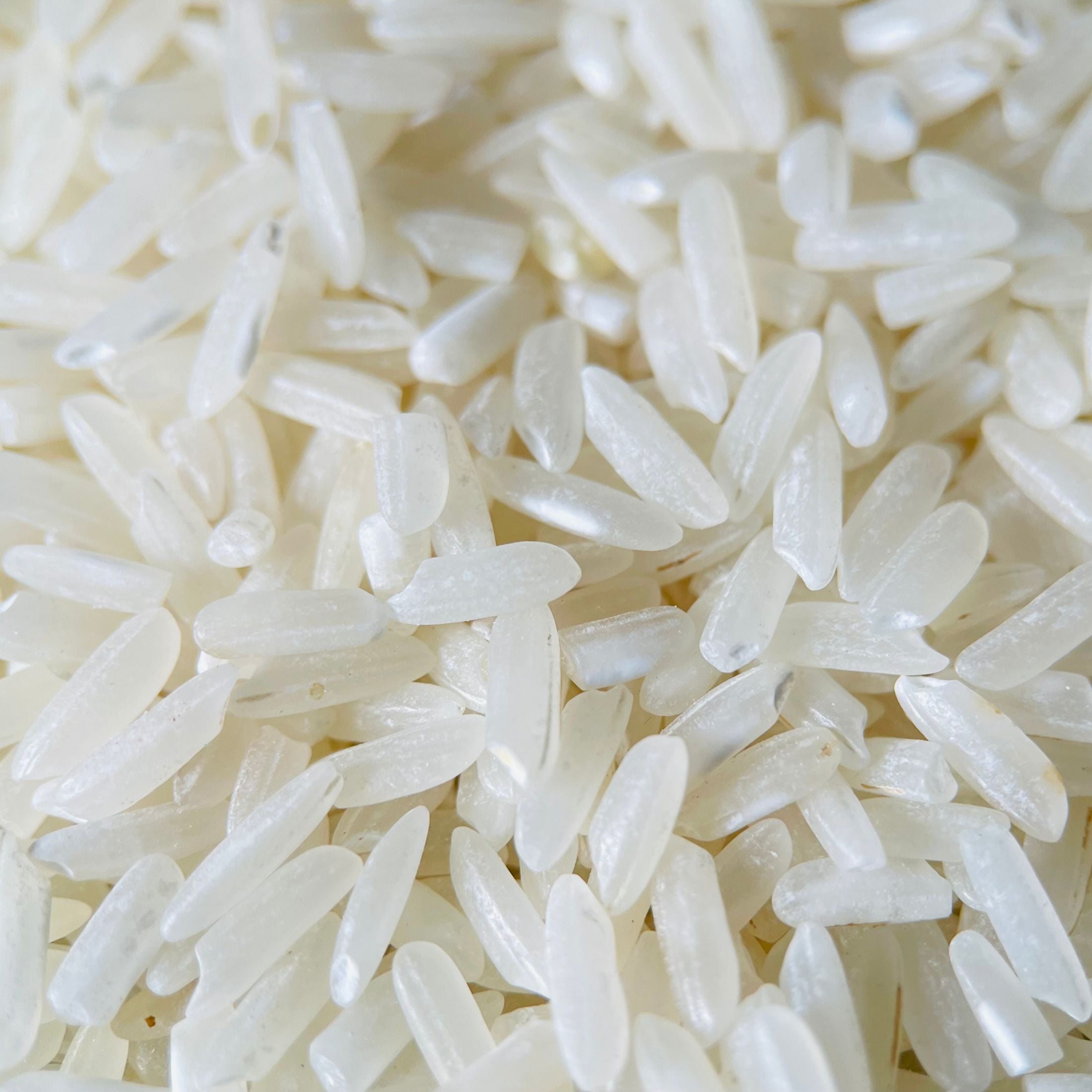 grains of rice