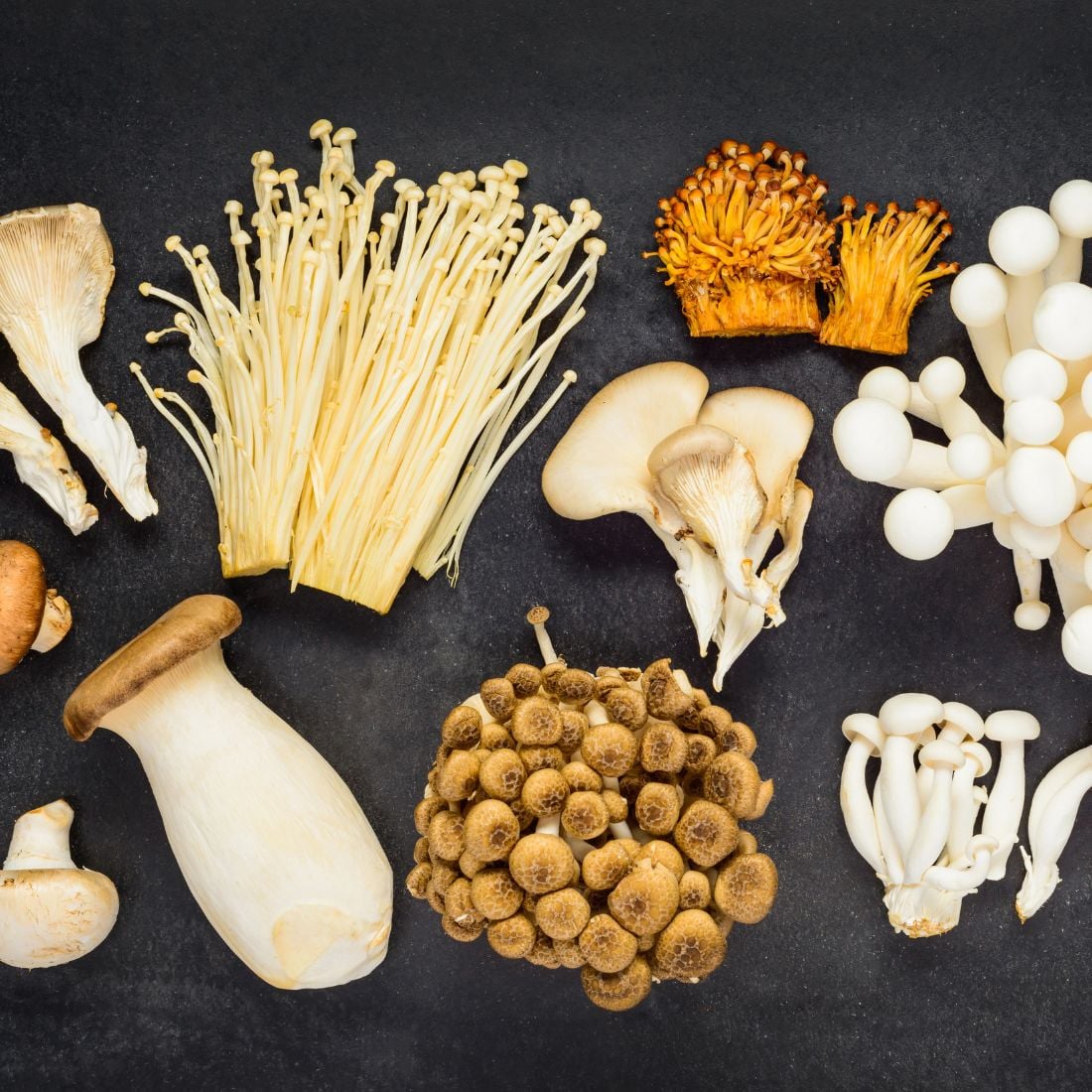 A variety of fresh mushrooms, including enoki, king oyster, shimeji, maitake, and others, are arranged on a dark surface in separate clusters.