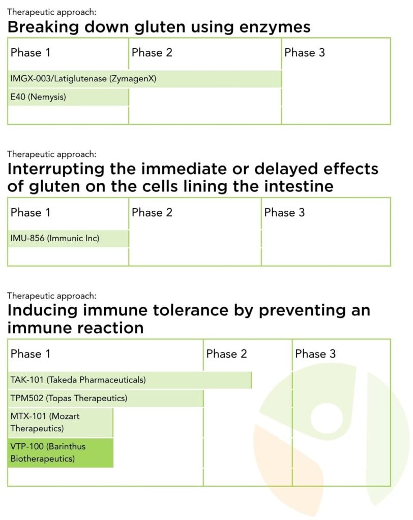 A chart with three therapeutic approaches to celiac disease, each listing treatments in Phase 1 or 2 of clinical trials: enzyme therapy, immune response interruption, and immune tolerance induction.